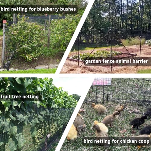 POYEE 15x15ft Bird Netting, 1/2-inch Square Mesh Garden Netting - size: 15x15ft