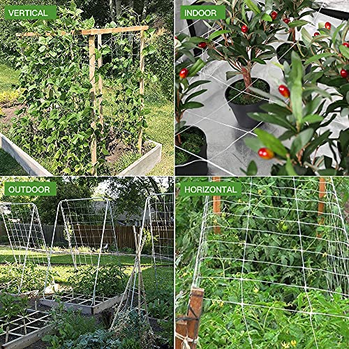 Trellis Netting, CANAGROW Heavy-Duty Garden Plant Trellis Netting for Climbing Plants, Outdoor Indoor Grow Net for Beans Tomatoes Peas Pumpkin Flowers, 6x30ft, 1 Pack - size: 6'x30'