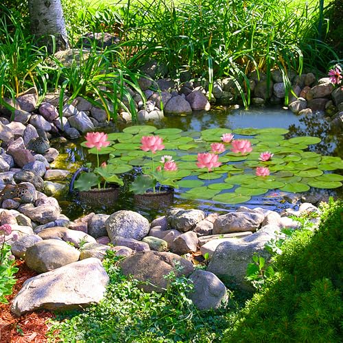 4 Pcs Aquatic Pond Planting Bags, Reusable Mesh Water Garden Pond Plant Pot - color: Black, size: Square