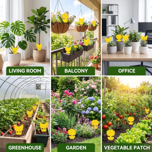96 Pack Yellow Sticky Fungus Gnat Traps for House Indoor & Outdoor Plants - size: 96 Packs