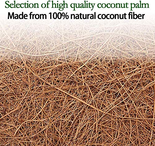 2Pcs 8 inch Round Coco Liners for Hanging Basket Coconut Fiber Planter Inserts Replacement Liner for Garden Flower Pot (Liners Only, Basket Not Included), 8in/2Pcs - size: 8in-2pcs-2019
