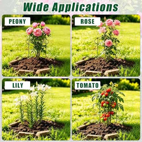 Peony Cages and Supports, 30"H x 13.8"D Plant Supports for Outdoor Plants - size: 30"H x 13.8"D