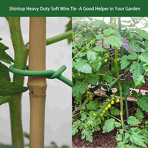 Shintop 3.5mm Plant Ties, 2PCS Reusable Garden Twist Tie for Gardening - color: Green, size: 3.5mm