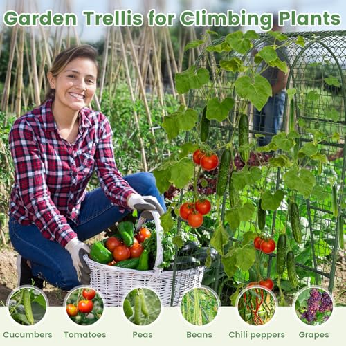 Cucumber Trellis, Metal Garden Arch Trellis for Raised Bed, 63 x 48inch U-Shape Garden Trellis for Climbing Plants Outdoor, Vegetables Fruit Plant Support with Netting, Gardening Supplies (Green) - size: 63 x 48 inch