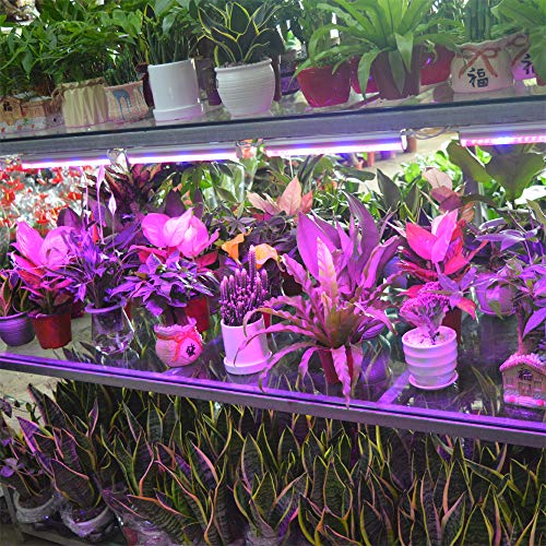 T5 Grow Lights for Indoor Plants Linkable 1ft LED Growing Lamp Plug in 2pc