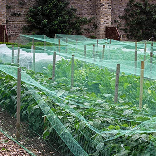 Bird Netting 25'x50' with 1" Square Mesh Bird Net Garden Netting for Chicken Coop, Aviary, Deer Fence, Fruit Tree - size: 25*50ft