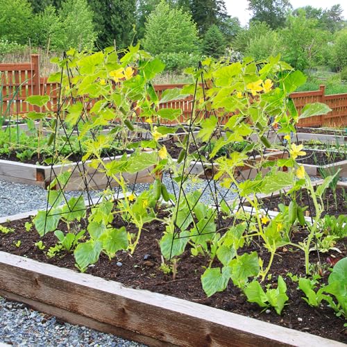 Cucumber Trellis 2 Pack,Foldable A-Frame Garden Trellis - color: Pitch Black, size: 39.4" H