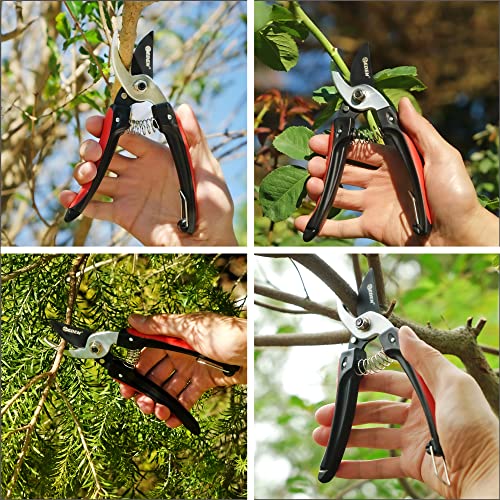 Eden 39005 Bypass Pruning Shears, 5/8 inch cutting diameter for Stems and branches - size: 5/8 Inch Diameter