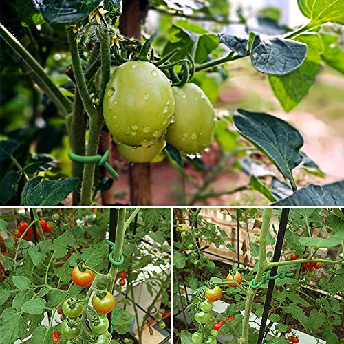 Shintop 2.8mm Plant Twist Ties, 2PCS Garden Wire for Tomatoes (65.6 Feet) - color: Green, size: 2.8mm