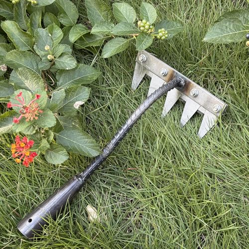 Ironrake The Heavy-Duty Iron Weeding Rake,1pc Iron Rake with 5 Metal Tines - size: 5 TINES