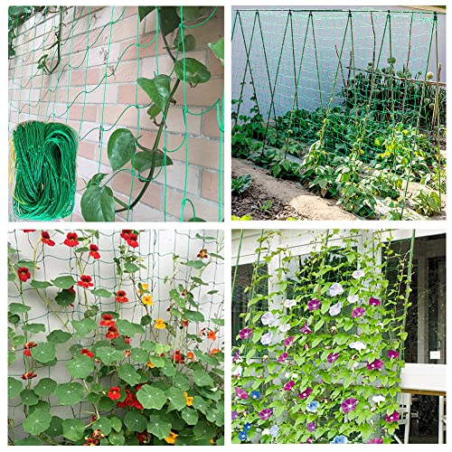 Garden Nylon Mesh Plant Support Trellis Netting Plant Climbing Net for Flower Fruits Vegetables Tomato Plants 2.95Ft x 5.9Ft - size: 2.95Ft x 5.9Ft