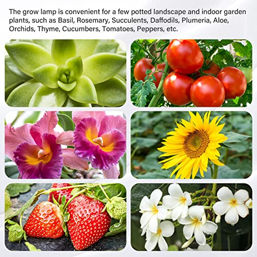 iPower LED Plant Grow Light Strips Full Spectrum with 3 Timing Modes, 10 Dimmable Levels 48 LEDs Per Tube, Sunlike Grow Lamp for Hydroponics Succulent