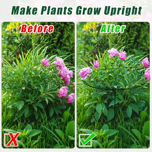 Peony Cages and Supports, 30"H x 13.8"D Plant Supports for Outdoor Plants - size: 30"H x 13.8"D
