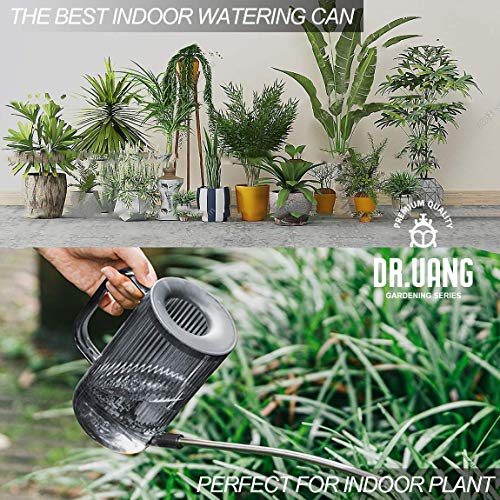 Small Watering Can Indoor Plants with Long Spout (1L, Gray) - color: Gray