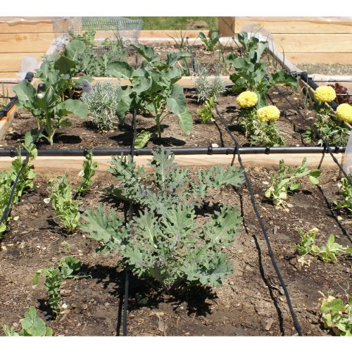 Drip Depot Drip Irrigation Kit for Raised Bed Gardening - Basic - 2 Raised Beds - size: Basic - 2 Raised Beds