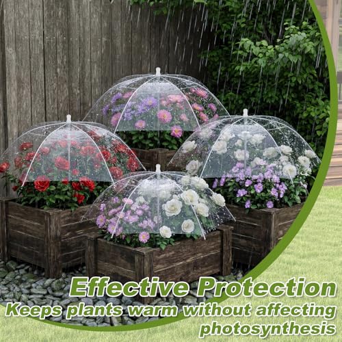 Abbylike 4 Pcs Clear Greenhouse Plant Umbrella Plant Rain Umbrellas,25 Inch - color: Clear, size: 25 Inch