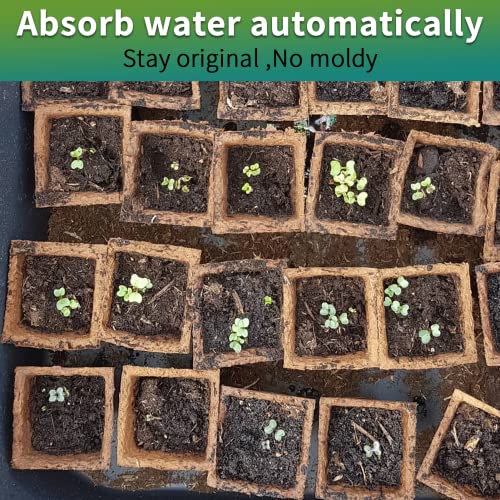 TCBWFY 640Cells Seedling Start Trays,40 Pack Peat Pots Seedling Pots Biodegradable,Seedling Starter Kit,Organic Germination Plant Starter Trays - size: 640cells-40pcs