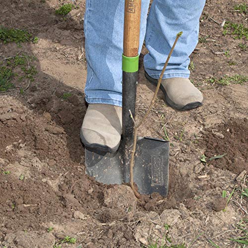 The AMES 2535600 Ames Long Handle Digging Shovel, Brown - style: Hardwood Handle Round Point Shovel