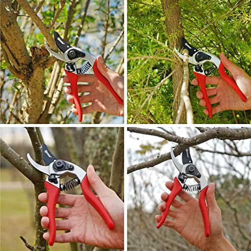 Eden 39002 Adjustable Bypass Pruning Shears, 7/8 inch cutting diameter for Stems and Branches - size: 7/8 Inch Diameter