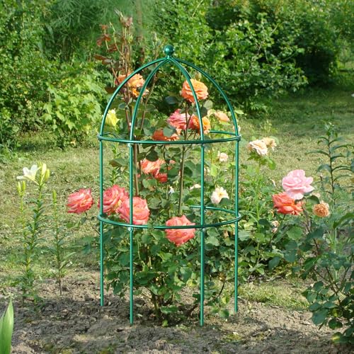 DoCred 6 Pack Peony Cage, 15.7" x 31.5" Metal Plant Support Garden Trellis - color: Green, size: 31.5"H x 15.7"W/6PC