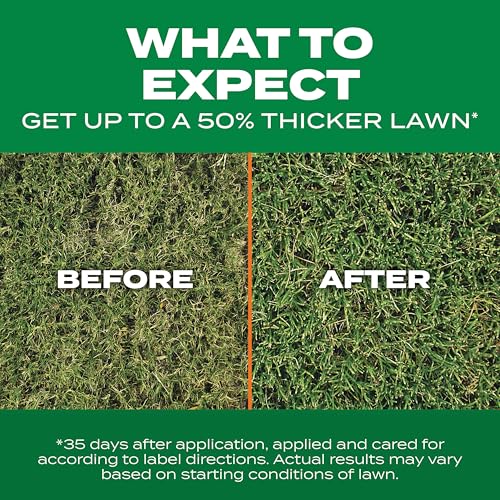 Scotts Turf Builder Thick'R Lawn Bermudagrass - Covers 1,200 sq. ft., Combination Seed, Fertilizer and Soil Improver, Fill and Repair Gaps in Thin Lawns and Enhance Root Development, 12 lb. - size: 12 lb.