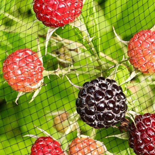 Garden Netting, 15ft x 30ft Black Bird Netting Heavy Duty,Rabbit,Large Bees,Squirrels, Deer,Chicken, Anti Birds, Cardinals,Animal Fencing for Fruit Tree & Vegetable Garden - size: 15ft x 30ft