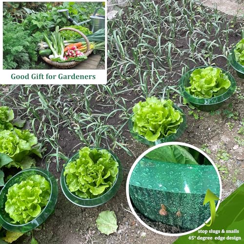 Fshow Slug & Snail Collars,30pcs Snail Garden Cloches,Snail Collar Protects Plants to Get Better. - color: green 30pcs