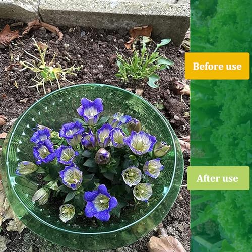 Fshow Slug & Snail Collars,30pcs Snail Garden Cloches,Snail Collar Protects Plants to Get Better. - color: green 30pcs
