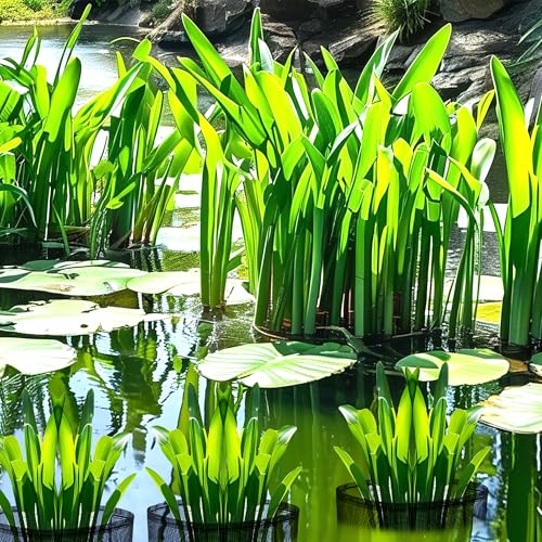 4 Pcs Aquatic Pond Planting Bags, Reusable Mesh Water Garden Pond Plant Pot - color: Black, size: Square