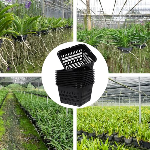 20pcs Square Net Pots for Hydroponics - 7. 1in Heavy Duty Slotted Mesh Net Cups for Dwc System Large Plastic Orchid Pots with Holes - Black Wide Lip Bucket Insert - color: 20pcs