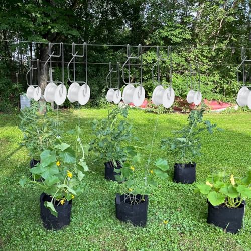Tomato Support Hooks with String 20 Pcs,100 Pcs Plant Support Clips for Climbing Plants,Tomato Trellis Roller Hooks with 49.2FT String,Reusable Grape Vine Clips to Prevent Tomatoes - size: 20Pcs Tomato Rollerhook+100 Pcs Plastic Plant Clip