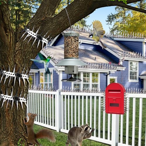 Bird Spikes 65 FT Anti Climb Spikes Stainless Steel Bird Squirrel Deterrent - size: 65 FT