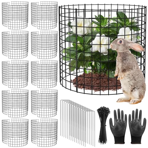 10 Pack Plant Protectors from Animals, 13x12 Plant Cages for Outdoor Plants - size: 10 PACK-13x12inch