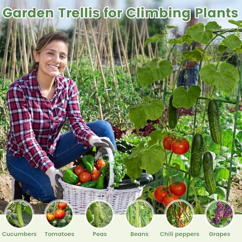 Cucumber Trellis, Metal Garden Arch Trellis for Raised Bed, 32 x 48inch U-Shape Garden Trellis for Climbing Plants Outdoor, Vegetables Fruit Plant Support with Netting, Gardening Supplies (Green) - size: 32 x 48 inch