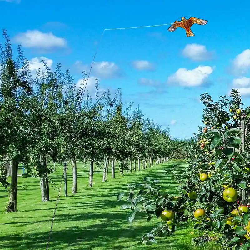 HENGDA KITE Bird Scarer Hawk Flying Kite ONLY 4M Pole Without Kite