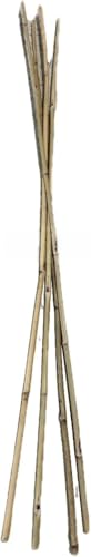 Farm Plastic Supply - Bamboo Garden Stakes - Bambo Sticks, Bamboo Plant Stakes for Outdoor Plants, Plant Support Stakes for Indoor Plants (4 Foot - 150 Pack) - size: 4 Foot - 150 Pack