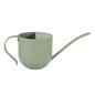 Green Watering Can 30oz Stainless Steel for Indoor Plants - color: Green 30oz