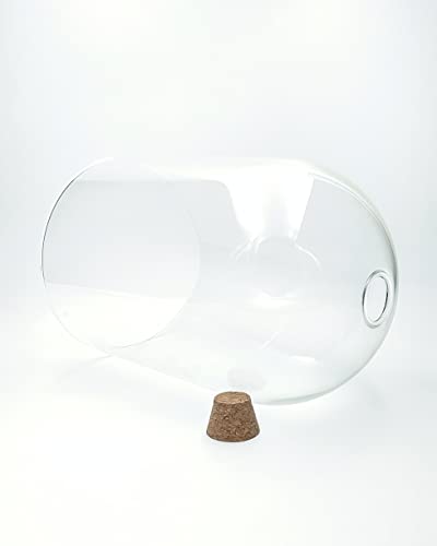 Handblown 7" Glass Terrarium with Opening for Air Flow & Cork Stopper Cloche Style Glass Dome Vivarium Display Case (Small) - size: Small