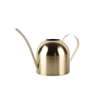 Small Watering Can for Indoor Plants, 15oz/450ml Stainless Steel Long Spout Watering Can for Succulents, Herbs (Gold) - color: Gold