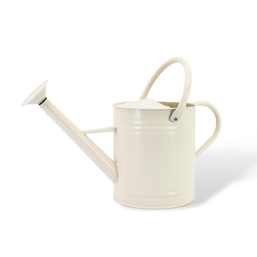 1 Gallon Matte Cream Metal Watering Can, Removable Spout - color: Matte Cream, size: 1 Gallon