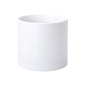 D'vine Dev Plastic Planter Pot with Saucer, 8 in, White, 74-X-A-1 - color: Matte White, size: 8 Inch