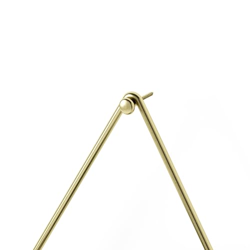 Umbra Trigg Hanging Planter for Small Plants, Set of 2, Small, Black/Brass - color: Black/Brass, size: Small