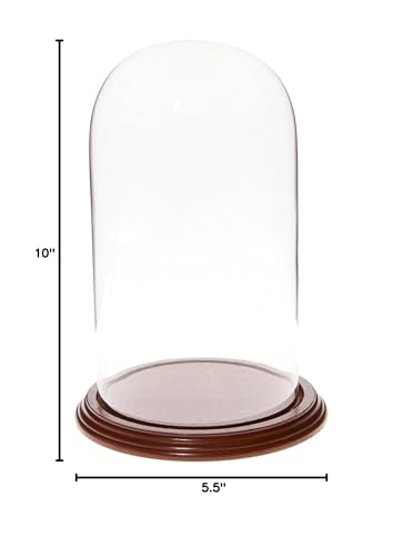 Plymor 5.5" x 10" Glass Display Dome Cloche (Walnut Veneer Base) - color: Walnut Veneer Base