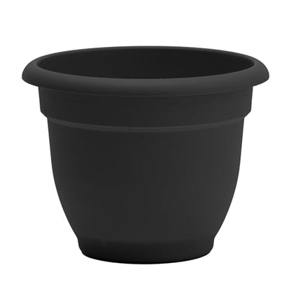 Bloem Ariana 12" Plastic Self-Watering Planter, Black, 2-Pack - color: Black, size: 12" (Pack of 2)