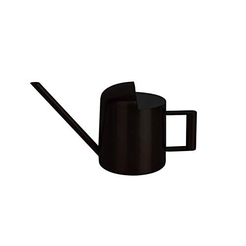 Mini Watering Can, 10oz/300ml Stainless Steel Long Spout Small Watering Can for Indoor Plants Succulents, Herbs (Black) - color: Black