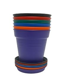 Mintra Garden Pots, 6 Pack Bulk Plastic Plant Pots with Drainage Tray, Round Indoor & Outdoor Decorative Planters with Drain Holes for Flowers, Herbs & Plants, 11cm Diameter – Assorted, 4.3 in - color: Assorted 6pk, size: 11cm Diameter (4.3in)