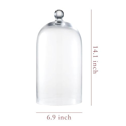KMwares Clear Glass Display Dome Cloche Bell Jar Tabletop Decorative Case Covered Plants/Food (Medium) - size: Medium