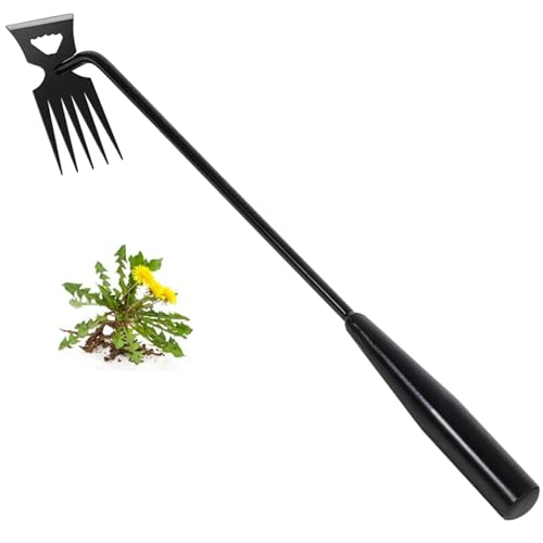 Weed Removal Tool, New Garden Weeding Tools Manganese Steel Hand Weeder Tool with Handle, 5 Teethes Dual Purpose Manual Weeders Tool Weed Tool for Garden (Black) - style: Black