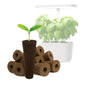 Grow Sponges 50 Pack