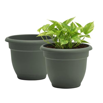Bloem Ariana 20" Plastic Self-Watering Planter, Basil, 2-Pack - color: Basil, size: 20" (Pack of 2)
